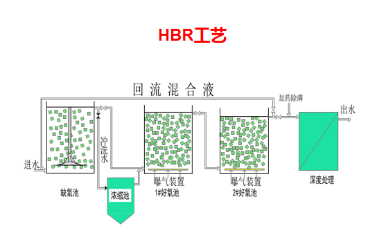 詳情